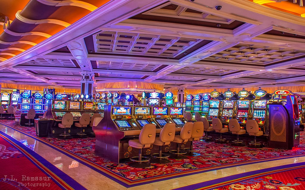 zamsino no deposit bonus