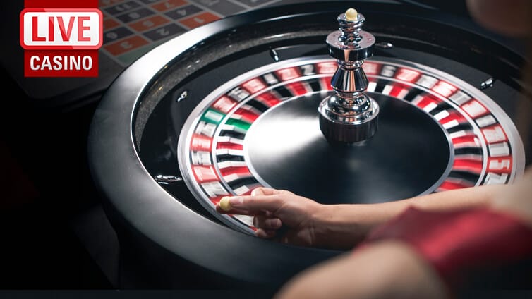 wild turkey pokie free spins